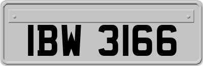 IBW3166