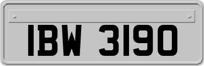 IBW3190