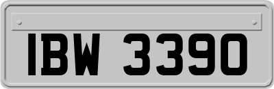 IBW3390