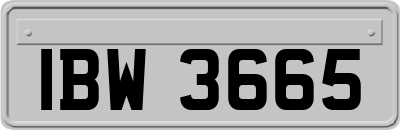 IBW3665