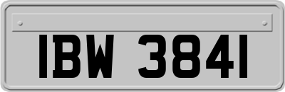 IBW3841