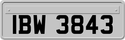 IBW3843