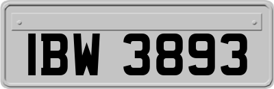 IBW3893