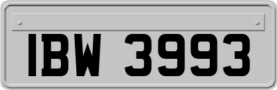 IBW3993