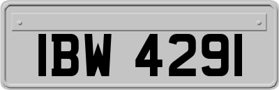 IBW4291