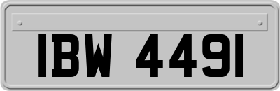 IBW4491