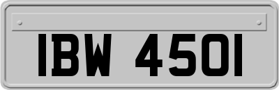 IBW4501