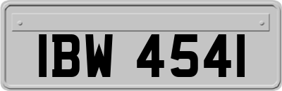 IBW4541