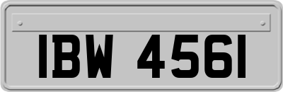 IBW4561