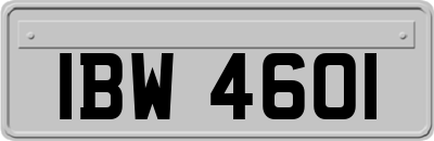 IBW4601