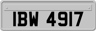IBW4917