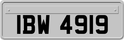 IBW4919