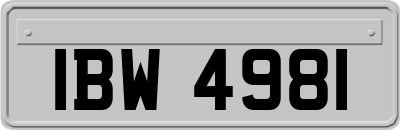 IBW4981