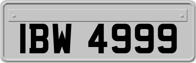IBW4999