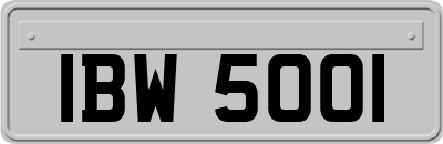 IBW5001