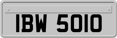 IBW5010