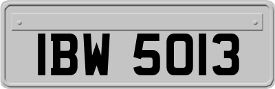IBW5013