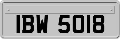 IBW5018