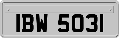 IBW5031