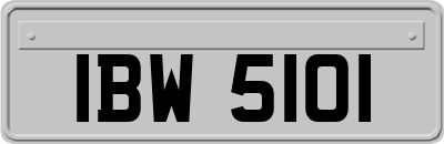 IBW5101