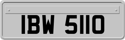 IBW5110