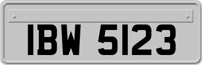 IBW5123