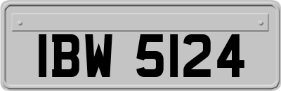 IBW5124