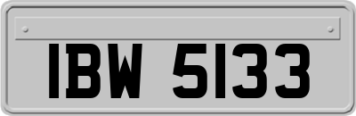 IBW5133
