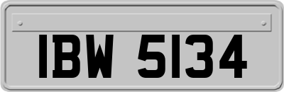 IBW5134