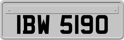 IBW5190