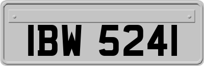 IBW5241