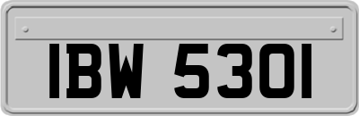 IBW5301
