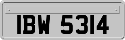 IBW5314
