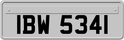 IBW5341