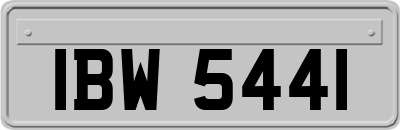 IBW5441