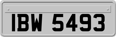 IBW5493