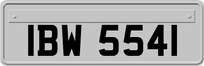 IBW5541