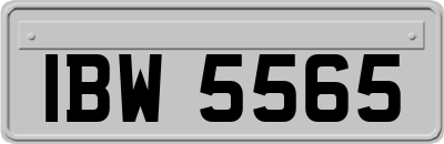 IBW5565