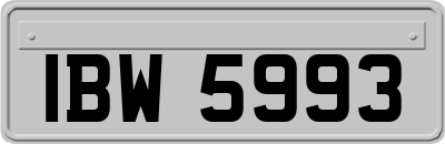 IBW5993