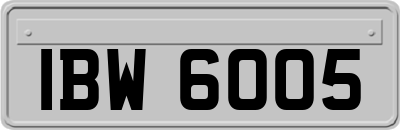 IBW6005