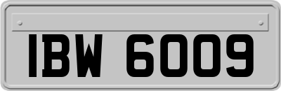 IBW6009
