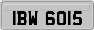 IBW6015