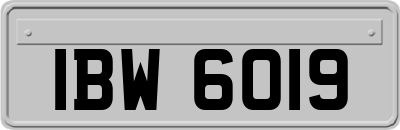IBW6019