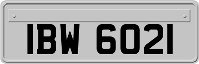 IBW6021