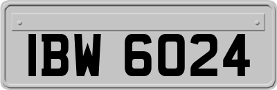 IBW6024