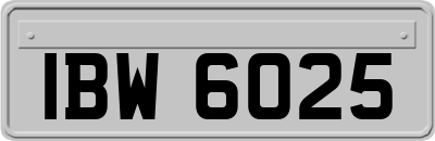 IBW6025