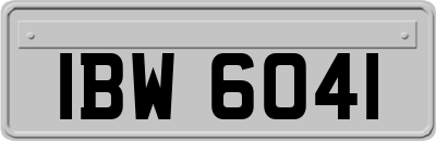 IBW6041