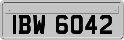 IBW6042