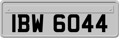 IBW6044