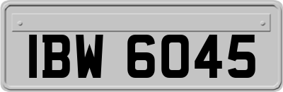 IBW6045